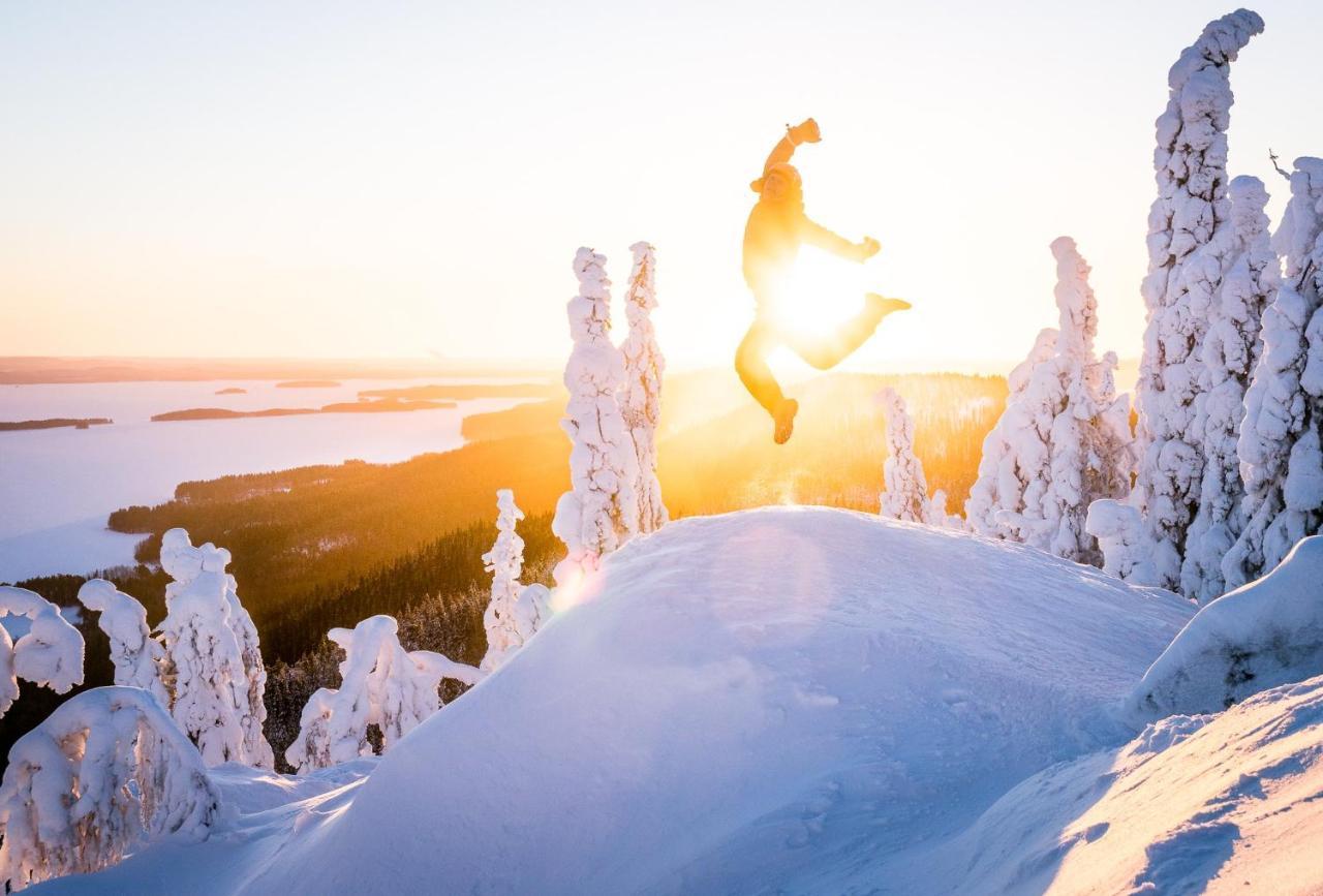 Break Sokos Koli Kolinkylä