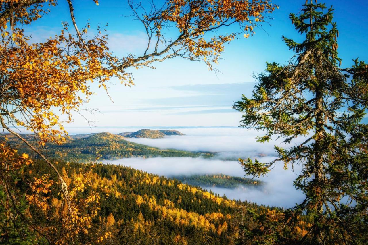 Hotel Break Sokos Koli